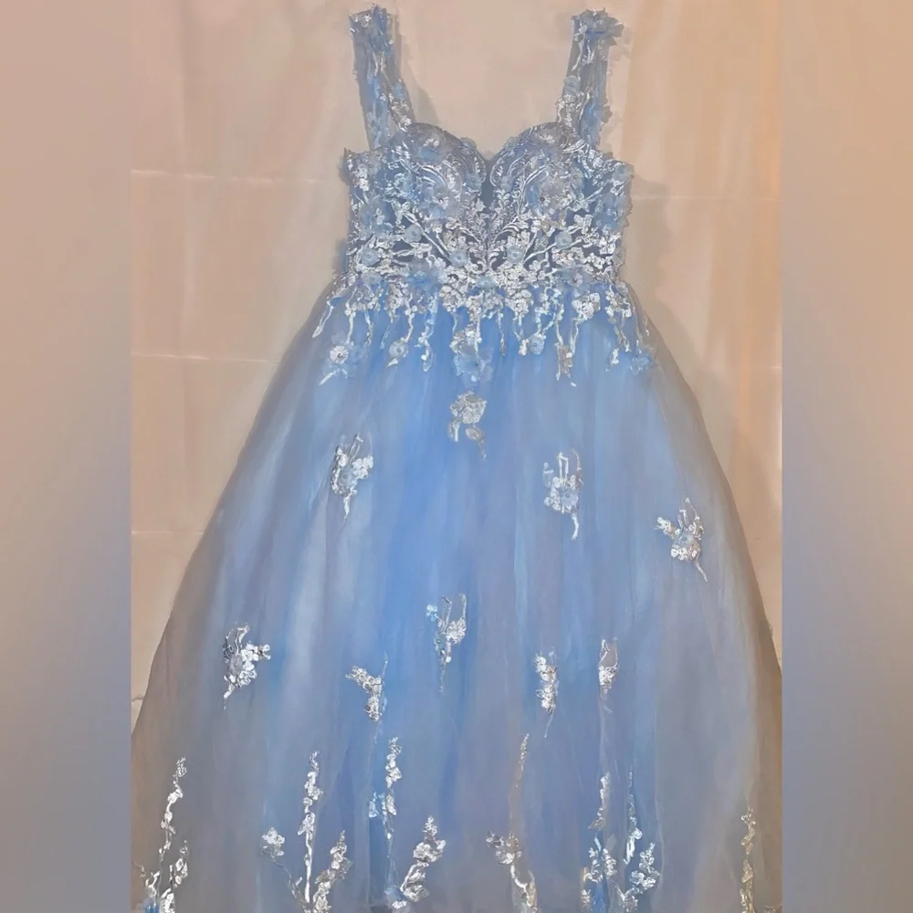 Cinderella Themed Size 14 Prom and Special Occasion Dress - Picture 4 of 7